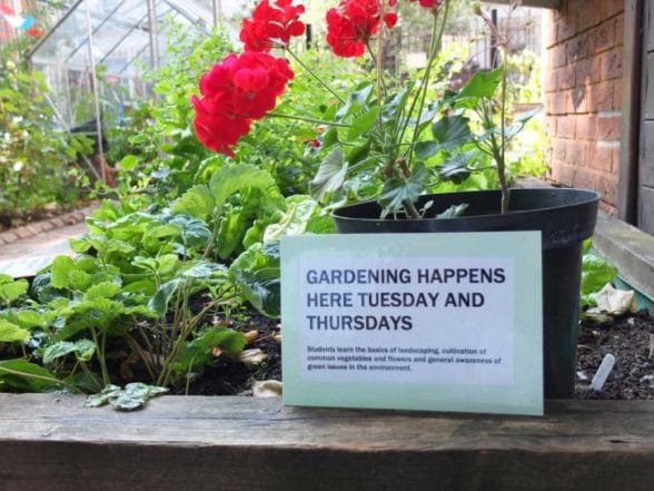New Hanbury wins bronze in Hackney Bloom!