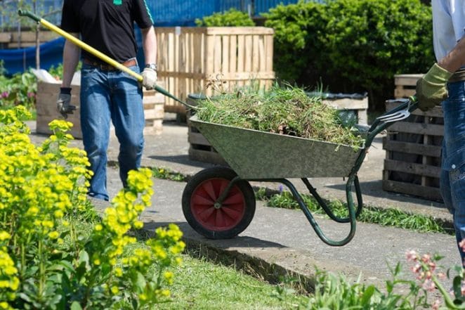 Former drop in regular starts work